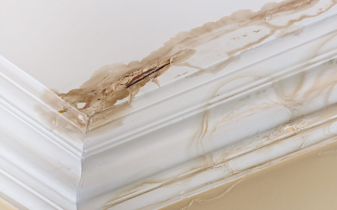 how to fix a leaking roof from the inside stained ceiling