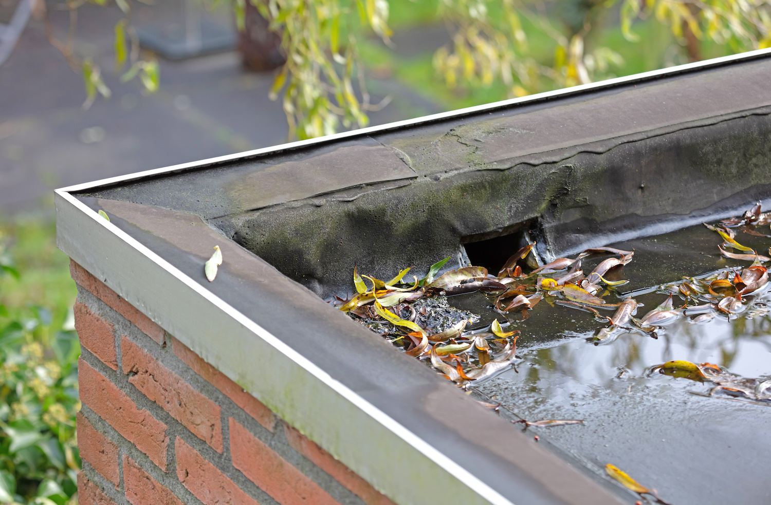 roof drainage system flat roof drain
