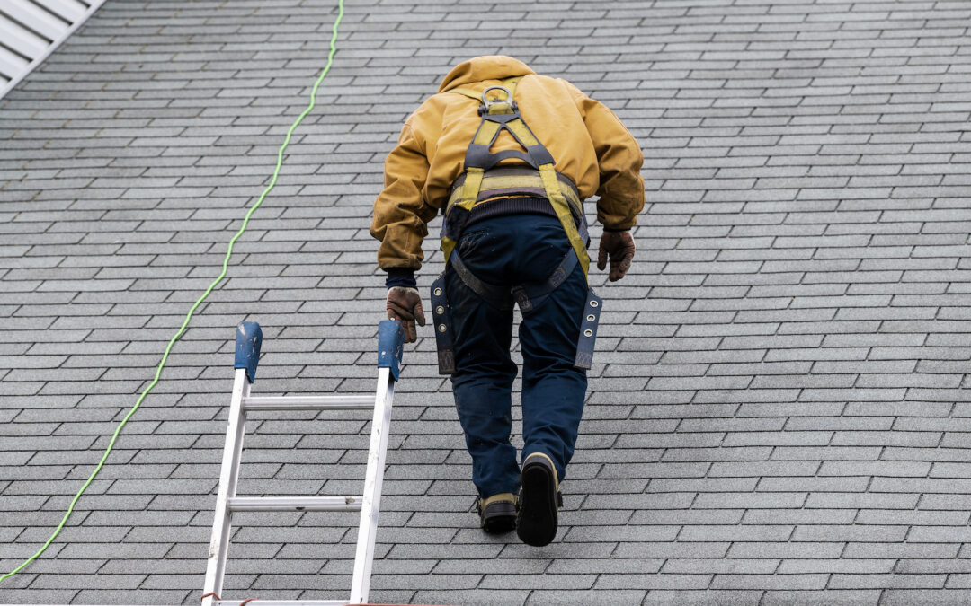 Roof Inspection 101: Everything You Need to Know