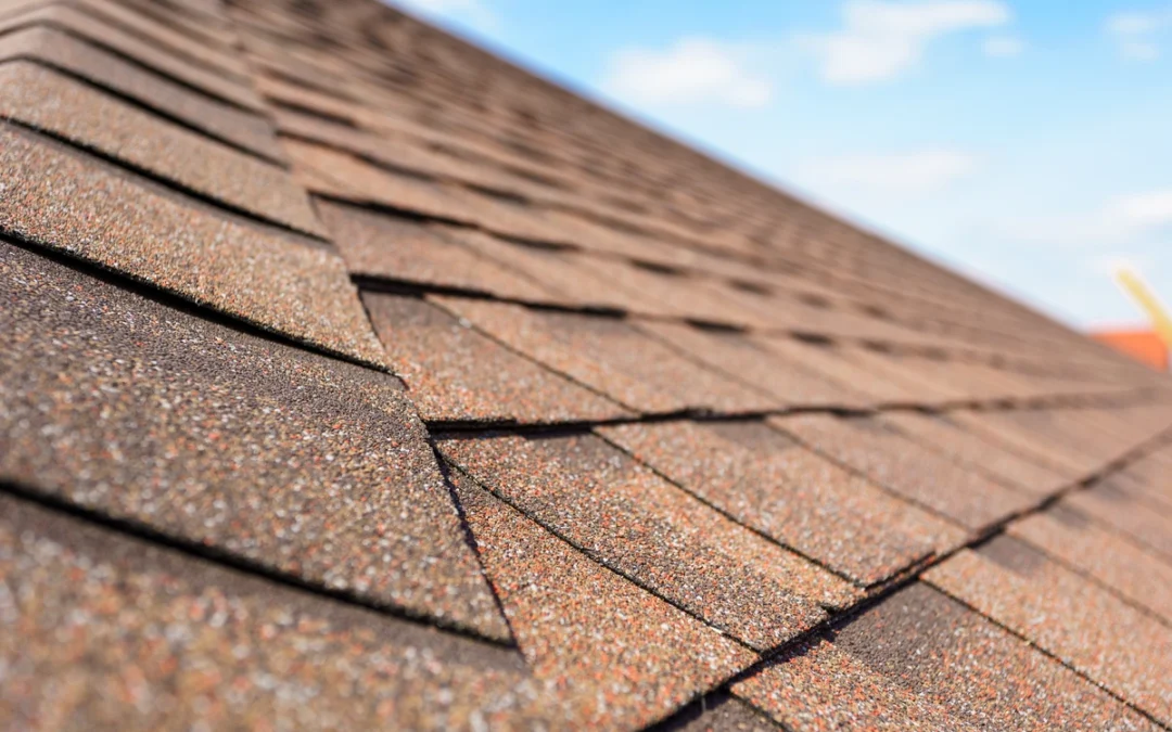 Roof Blistering: Causes, Treatment & Ways To Prevent