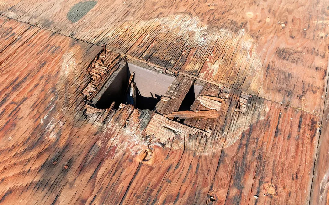 The Comprehensive Guide to How Humidity Affects Your Roof: Protecting Your Investment