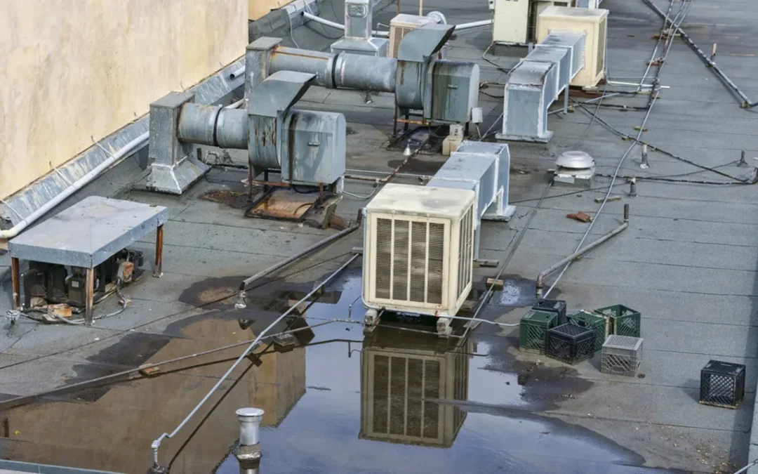 Commercial Roof Damage: The Usual Culprits Unveiled and Solutions Proposed
