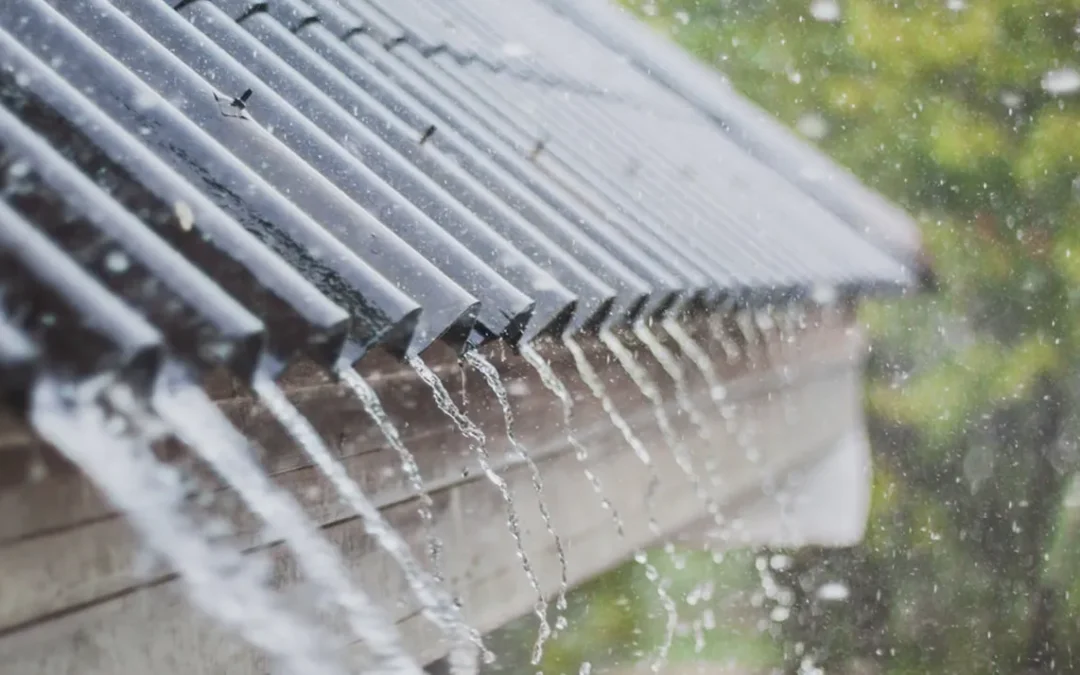 The Comprehensive Guide to Understanding How Moisture Can Damage Your Roof