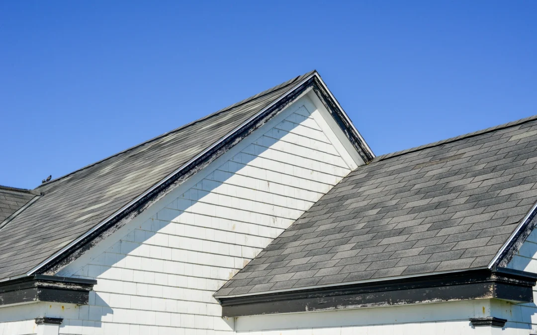Roof Blistering vs Hail Damage: What’s the Difference?