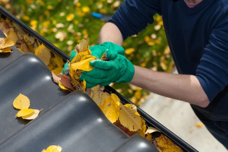 ways-to-clean-gutters