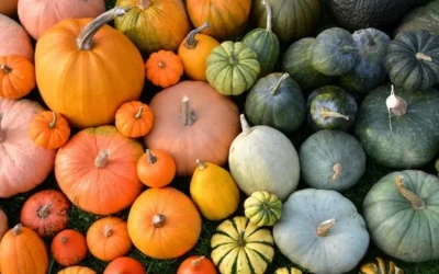 Turkey Time: The Best Places to Get Your Thanksgiving Bird in Louisville & Southern Indiana