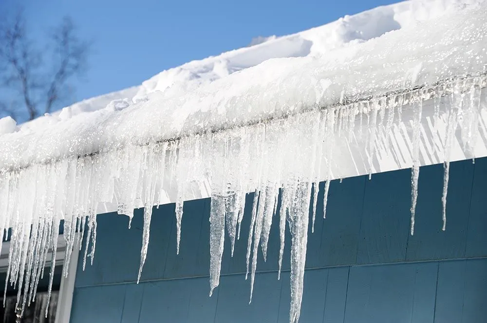 6 Key Signs Your Gutters Are Clogged—and How to Fix Them